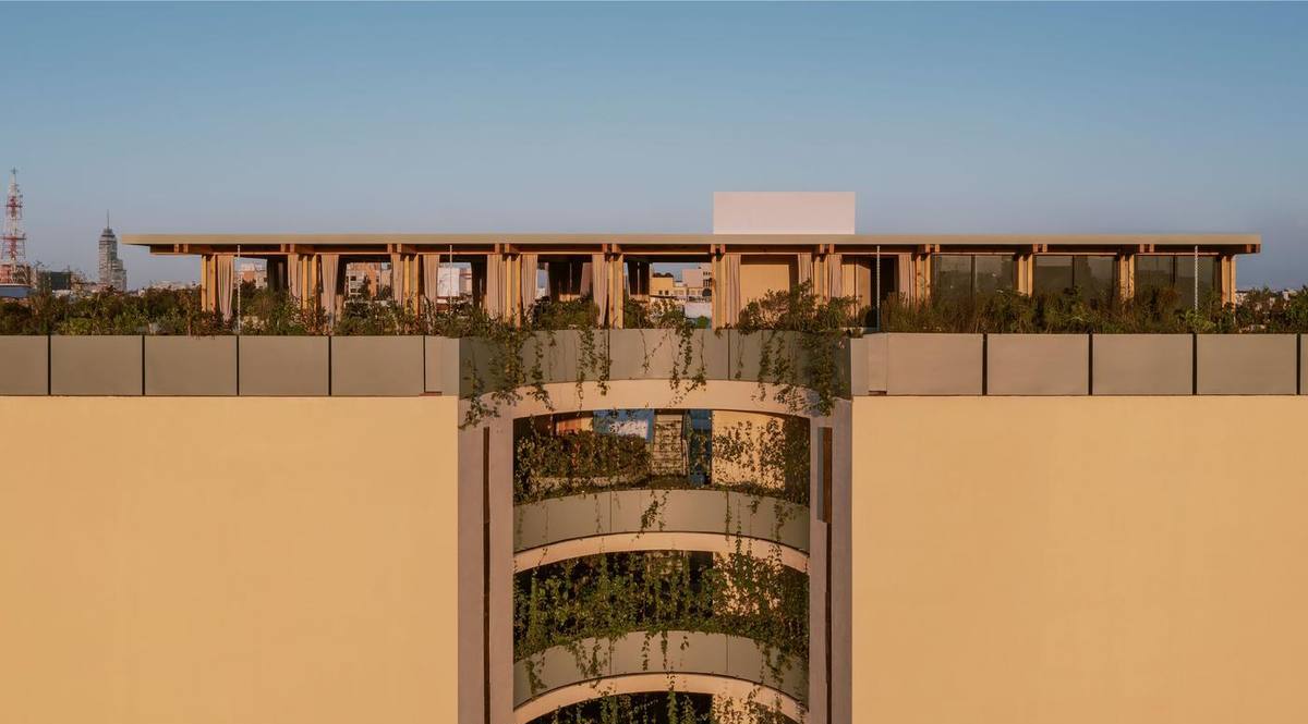 Fachada de Álvaro Obregón 43 con balcones curvos y vegetación